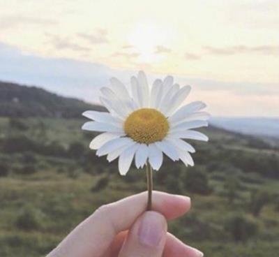 天秤座|七月下旬，三星座桃花盛开，手挽手与爱人携手步入金秋八月