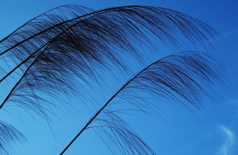 运势|七月开始：鸿运滚滚，春风得意，求财大吉祥的3生肖