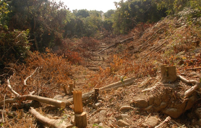 【科学家】人类文明开始倒计时！地球生态系统发生变化，或将重启