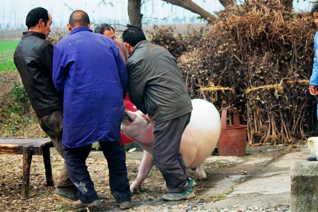 婴儿床|“东西有四不借,借了家败亡”,指的是哪4样,古人如此看重