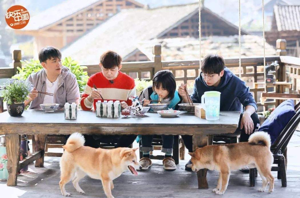 【向往的生活】《向往的生活》公开致歉，导演手抖犯错，网友: 这样的错误多来点