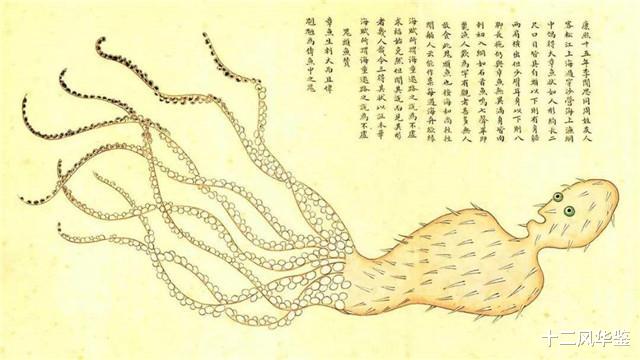 生物学家|清朝生物学家聂璜，画下300多种生物，画中\人鱼\颠覆认知