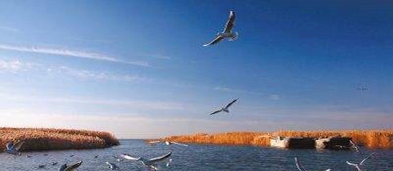 居延海|中国最无奈的“海”，先后干涸数次，如今水面面积达66平方公里