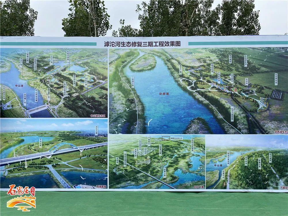 重庆|定了！明天起，石家庄将迎来大变化！事关所有人，不看亏大了！