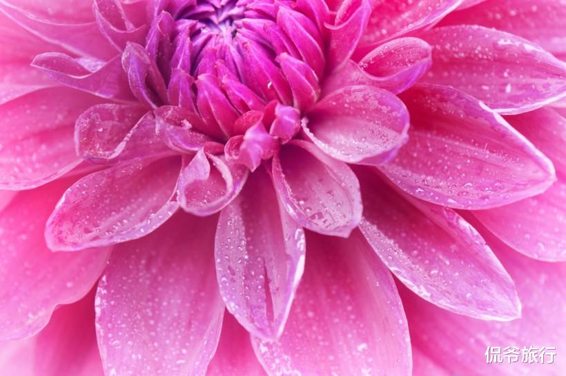 「生肖」6月30号生意兴隆，日子风生水起，天天开心数钱，事业顺遂的生肖