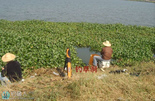 |鱼不上钩?其实钓位不对,如何选择一个好的钓位。皇禾钓具