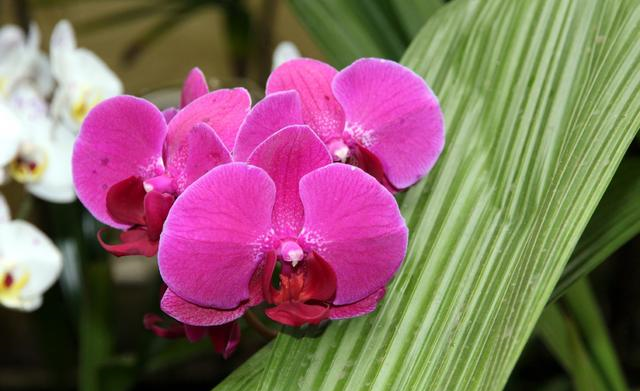 天蝎座|未来10天，前缘萌动，相思绵绵，长路漫漫，彼此陪伴四大星座