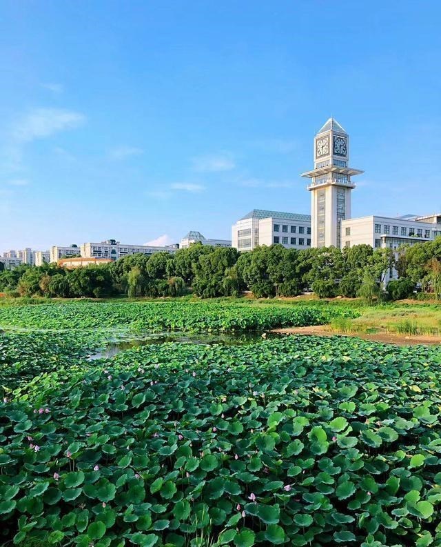 中南财经政法大学|中南财经政法大学2020年本科招生录取分数线出炉,你被录取了吗?