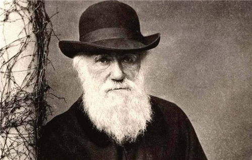 后代|人猿后代实验：5名女性参加实验，繁衍了人兽胚胎，最后成功了吗