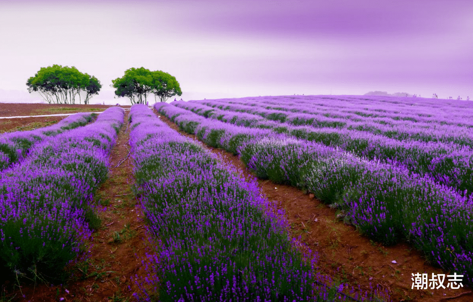 [生肖]6月28号富贵，3生肖锦鲤附体，家中喜事多，偏财最旺