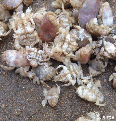 「」老公市场上花100元买3斤“虾”，我嫌贵不舍得吃，煮好后才知赚了