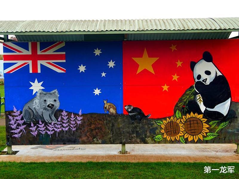 半导体|19亿项目打水漂，中企给澳大利亚上了一课，澳媒：还会有更大打击