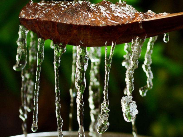 胶原蛋白■女人若不想老太快，放开肚子吃4物，或能补充胶原蛋白，延缓衰老