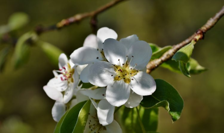 生肖|9月份，月老相助，缘分与桃花再次发力，牵手获良缘的4大生肖！