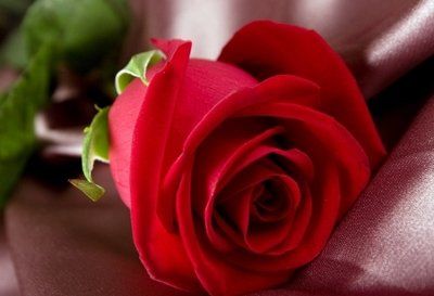 运势|未来三年家运越来越昌盛，4属相事业财运节节高，过上无忧生活