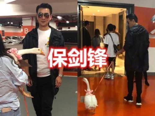 『成龙』明星收到的“奇葩礼物”,蔡徐坤西瓜还好,看到王俊凯:学生的噩梦