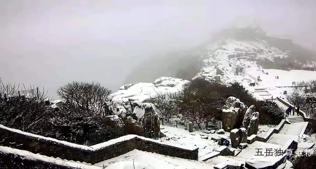 泰安|瑞雪丰年，国泰民安！看，泰安今冬第一场雪，下成这般仙境模样！