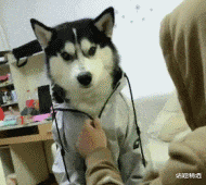 维修工|03年来批韩国维修工，每天补贴200美元，最幸福的事就是吃牛肉