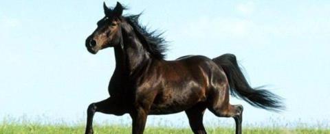 超自然|世界历史上超自然特殊现象， 科学至今也无法解释！