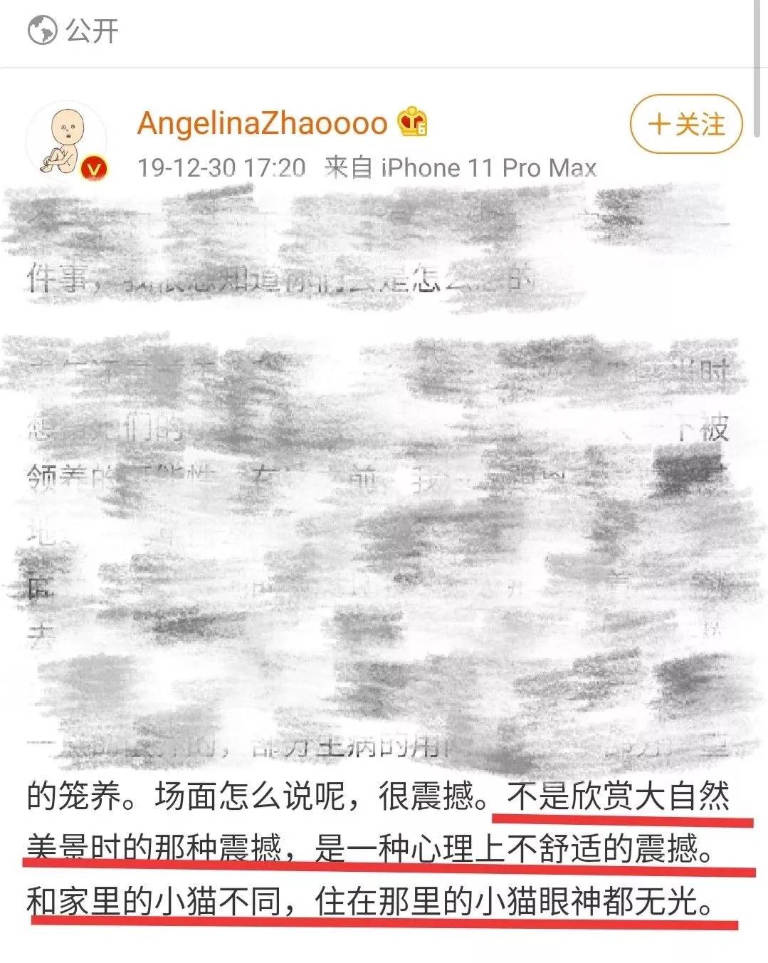 在痛苦中生活的残疾猫咪该不该安乐死？