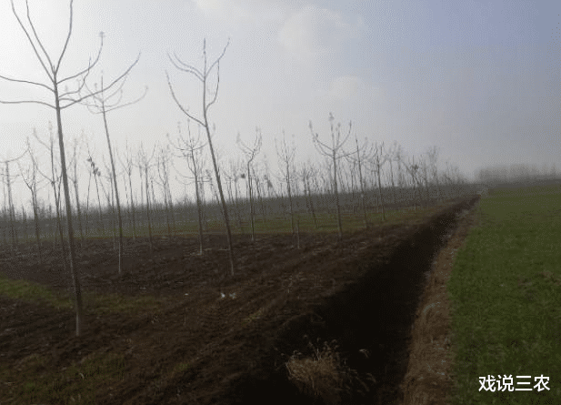 戏说三农|9月起，农村严查2类行为，与土地相关！如若顶风违规，一查到底！