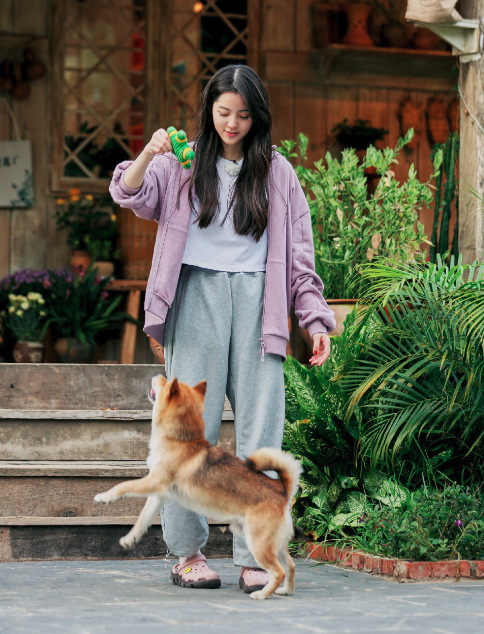奔跑吧兄弟|《跑男》导演频繁露脸不打码，《向往》导演组却经常打码，原因是啥？