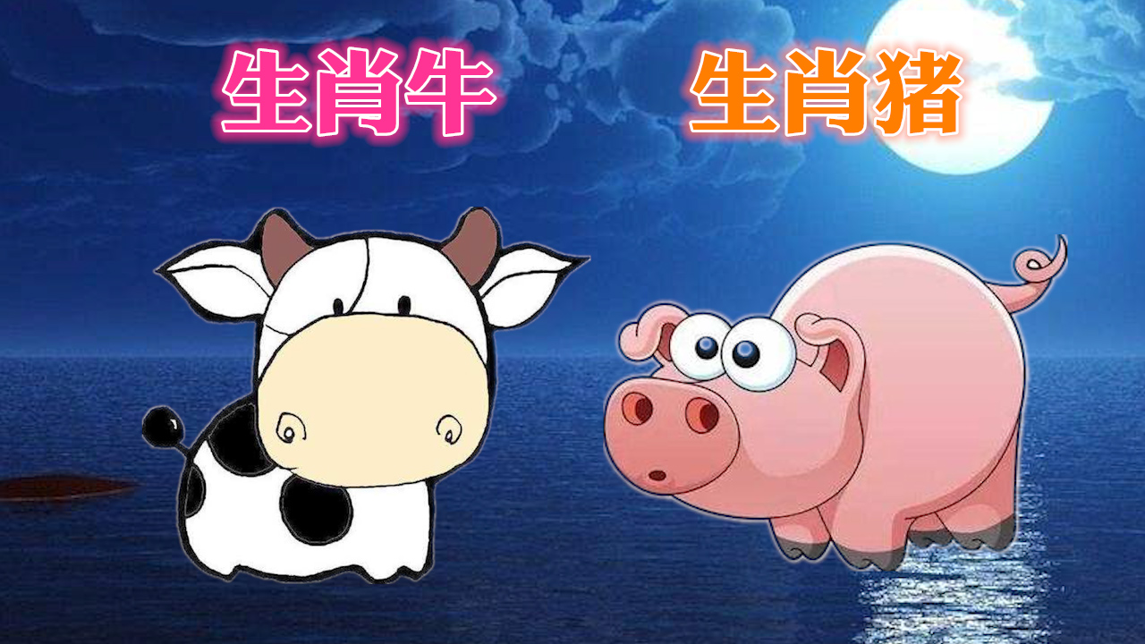 生肖▲属牛属猪的朋友，下半年会财源滚滚富贵盈门，快来接福吧