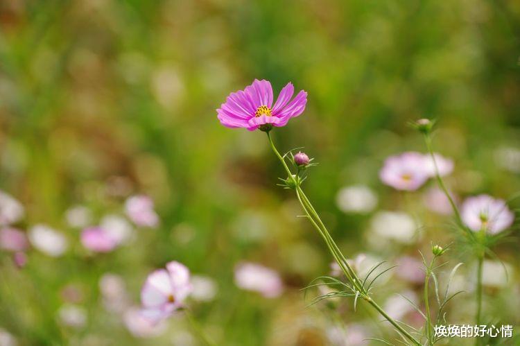 生肖|9月份，前缘回归，爱情复旧如初，旧梦忆当初，携手一生的4大星座