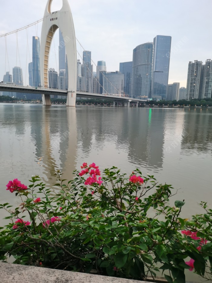 钓鱼|没忘的小河，想念的老友，河边再相逢