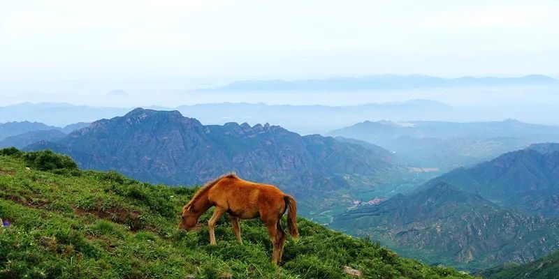 灵山|京城第一峰：要爬就爬最高的山