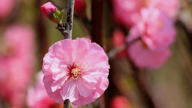|下一周迎来好运的六大星座,转运到爆,什么运都来了