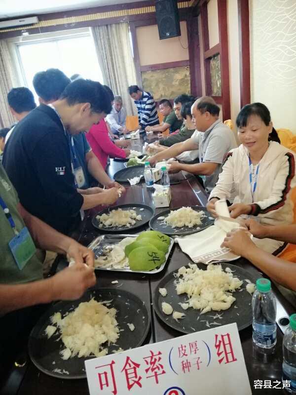 容县|广西容县“2020年十佳沙田柚”质量评比出炉，他家的最好吃！