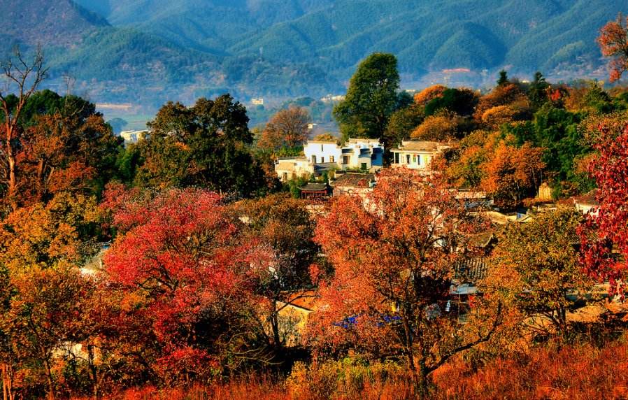 塔川|不愧为全国四大秋色之一 真的宛若童话世界
