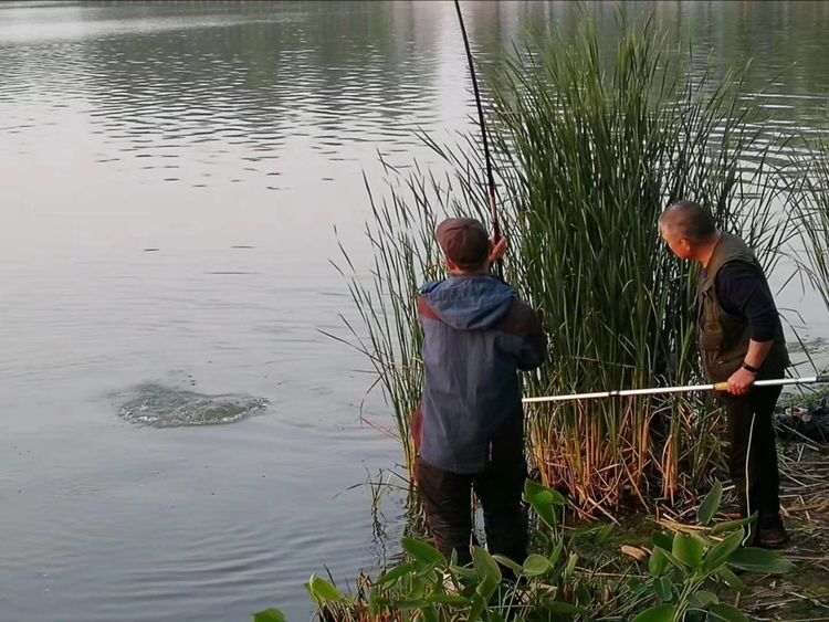 『武汉』武汉清零后,阅读东湖垂钓者的心情