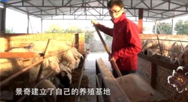 清华大学|宁愿放弃80万年薪，也要回农村养羊的清华硕士，如今现状如何？