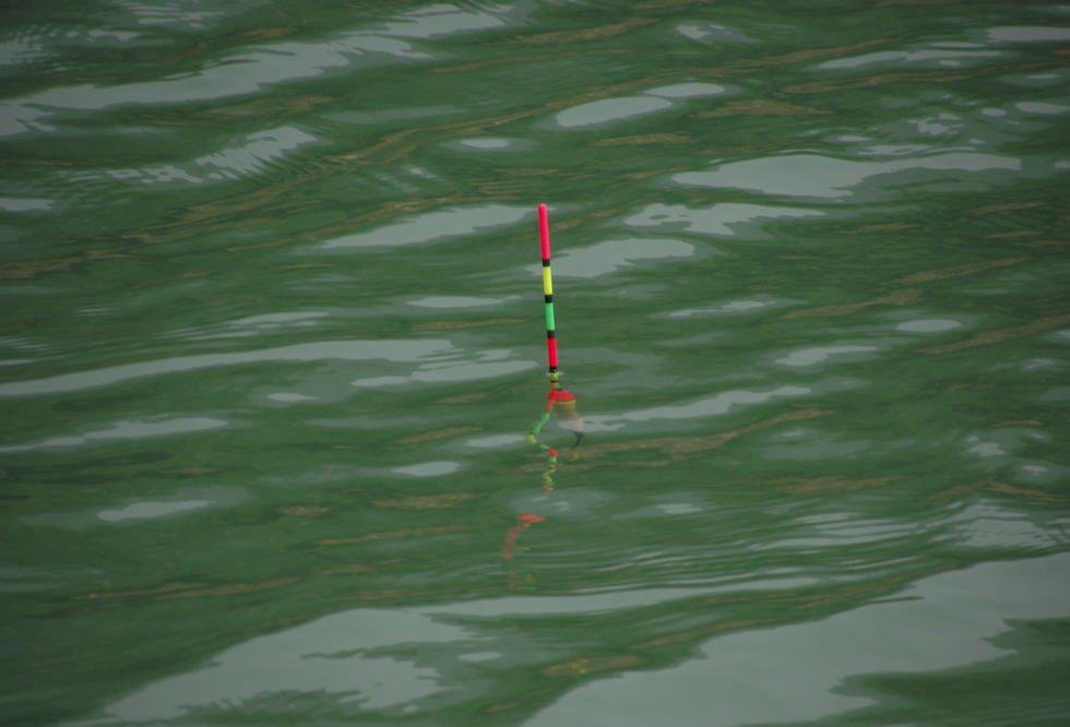 #鲫鱼#流水中钓鱼，浮漂总是被压到水里看不见，该如何解决？