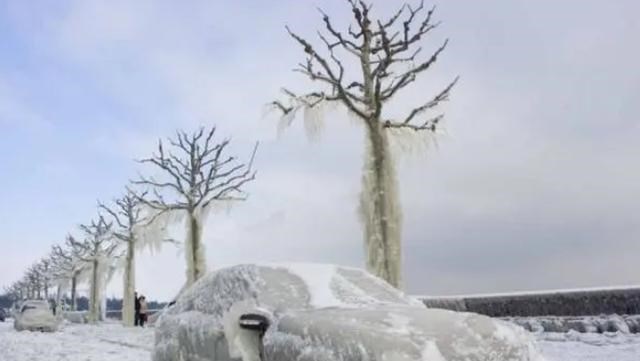 俄罗斯|俄罗斯求助信号传到我国，正要出手帮助时，美印：可不能帮！