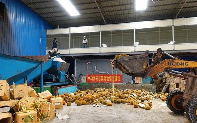 广西|放倒523人的“真凶”，找到了