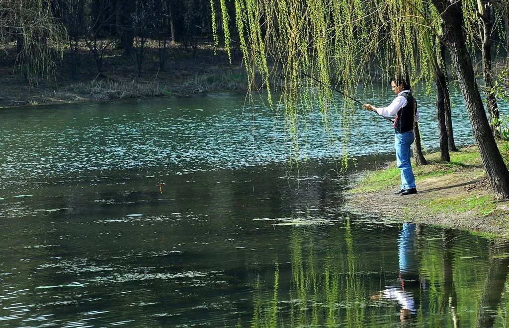 :户外钓有溪流的石斑鱼需要注意什么