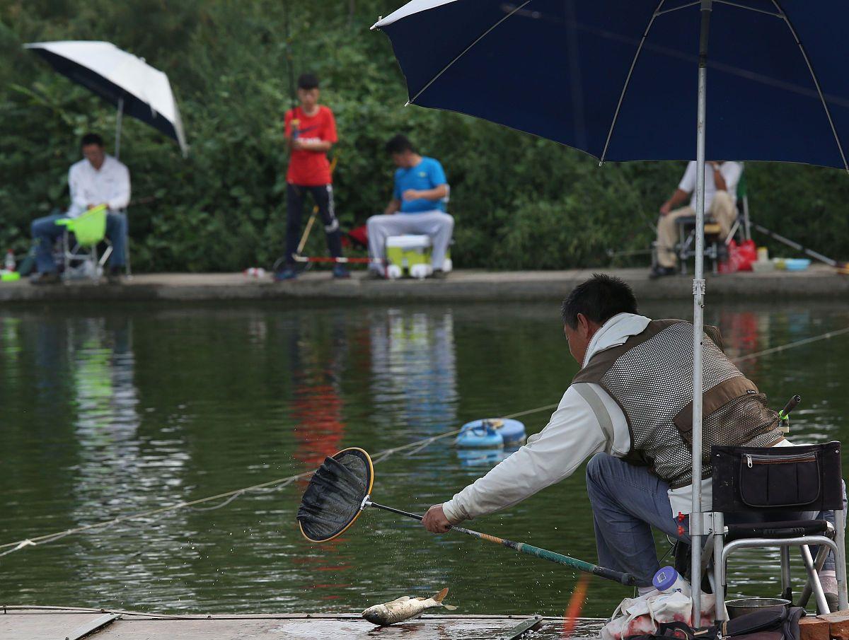 鲫鱼|窝内有泡没鱼吃钩咋回事?不是鱼儿不吃钩,是鱼都替你着急!