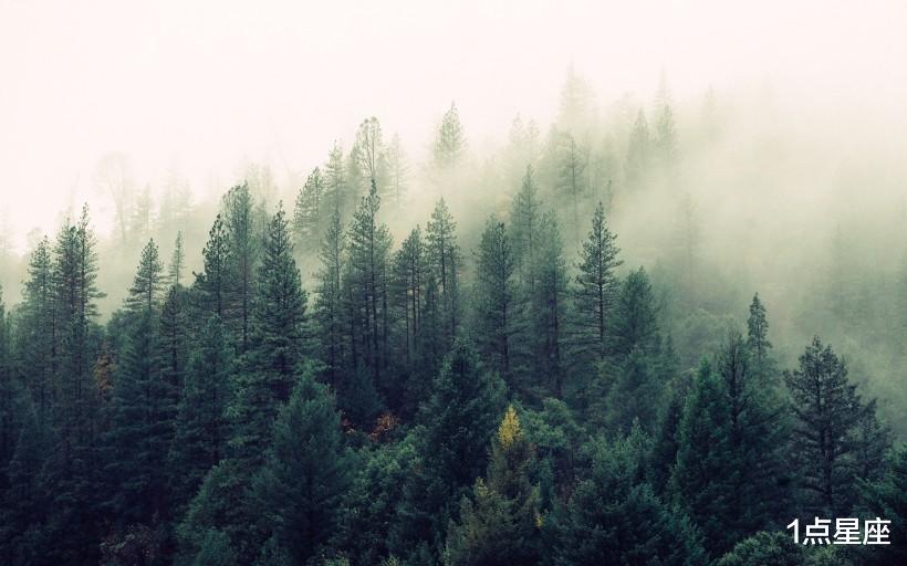 【星座男】第一眼没感觉，便不会再考虑的星座，爱一个人，需要激情