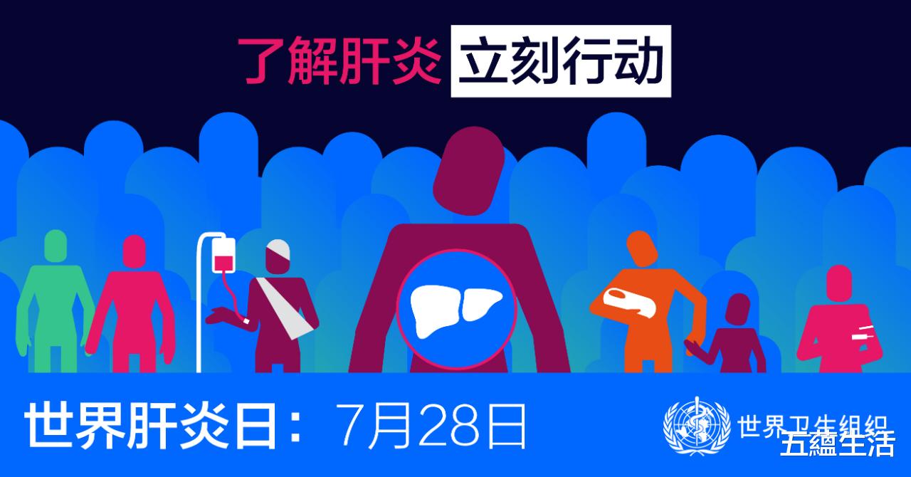 肝脏|肝好不好,看肚子就知道,若腹部有这些异常,警惕是肝在“求救”