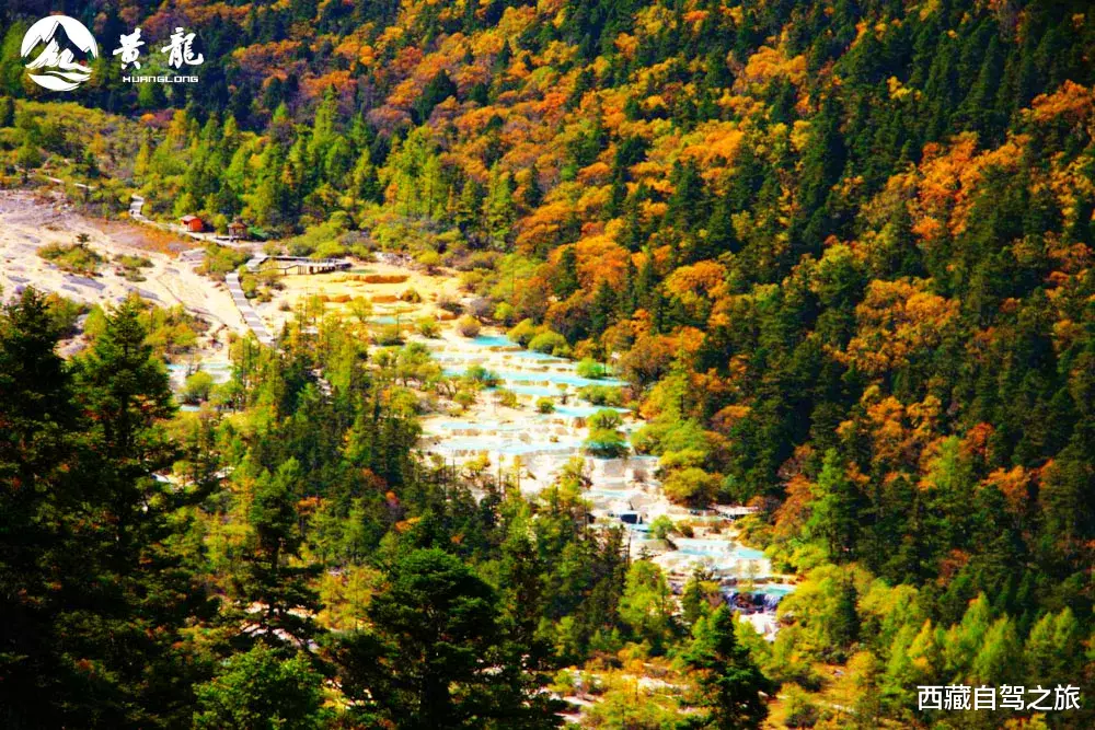 若尔盖|景 | 再过一个月，来看世间醉美的秋天！