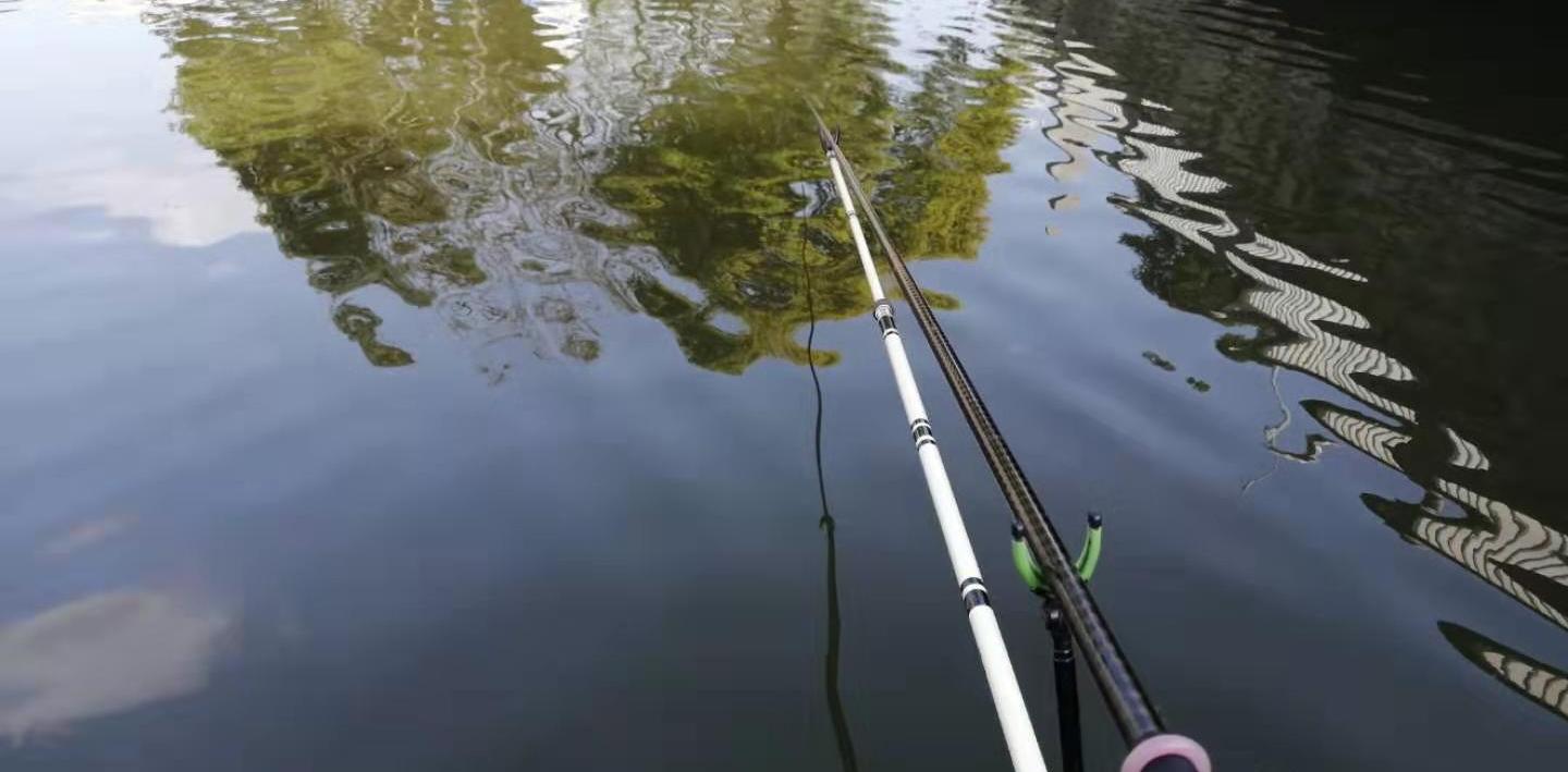 鲫鱼|真实故事：钓不到鱼的原因，一枚鱼钩足矣！