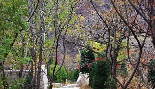 北京市|北京又一景区走红，人称京西“小黄山”，不输张家界门票仅15