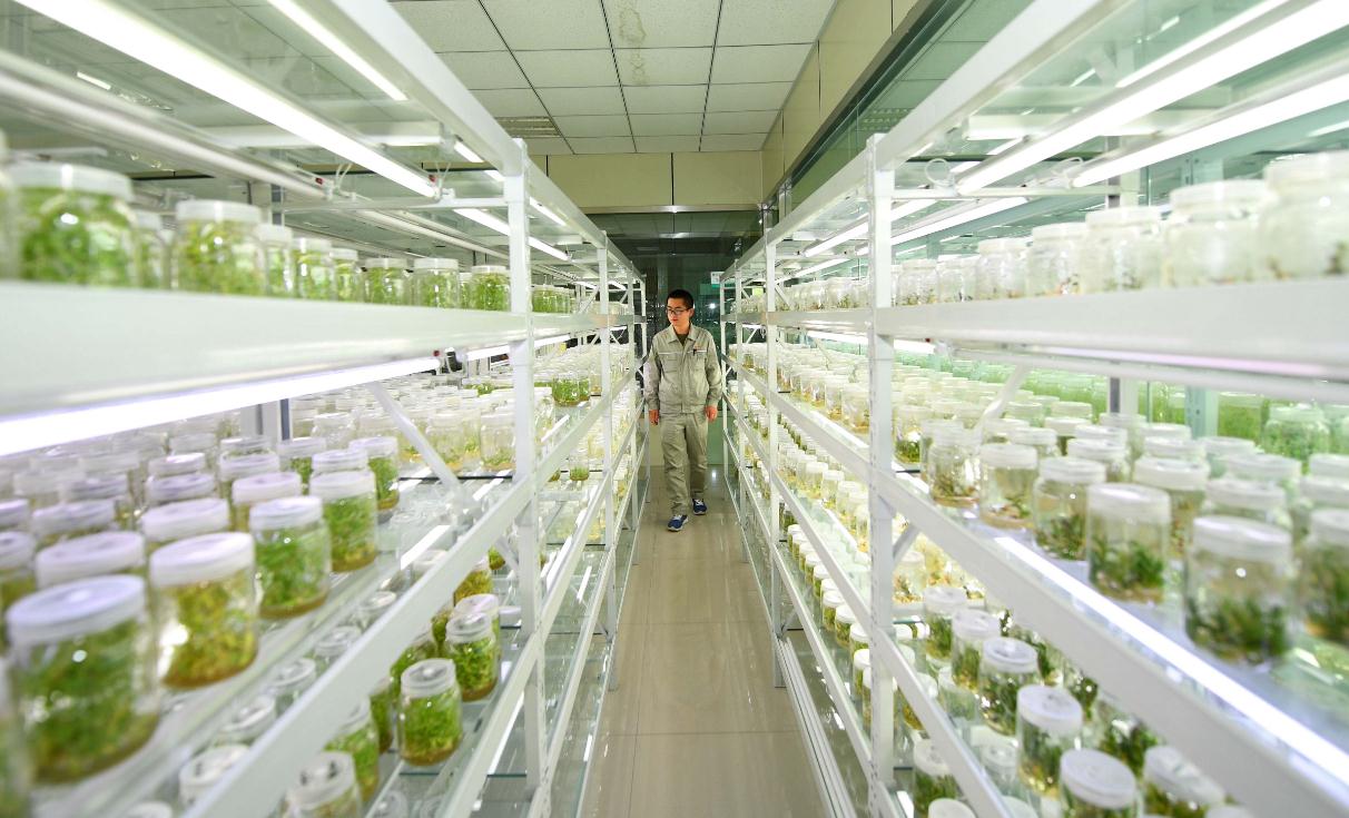 大学|大学里“不考研”难就业的8个专业，专业性强，学得精才好找工作