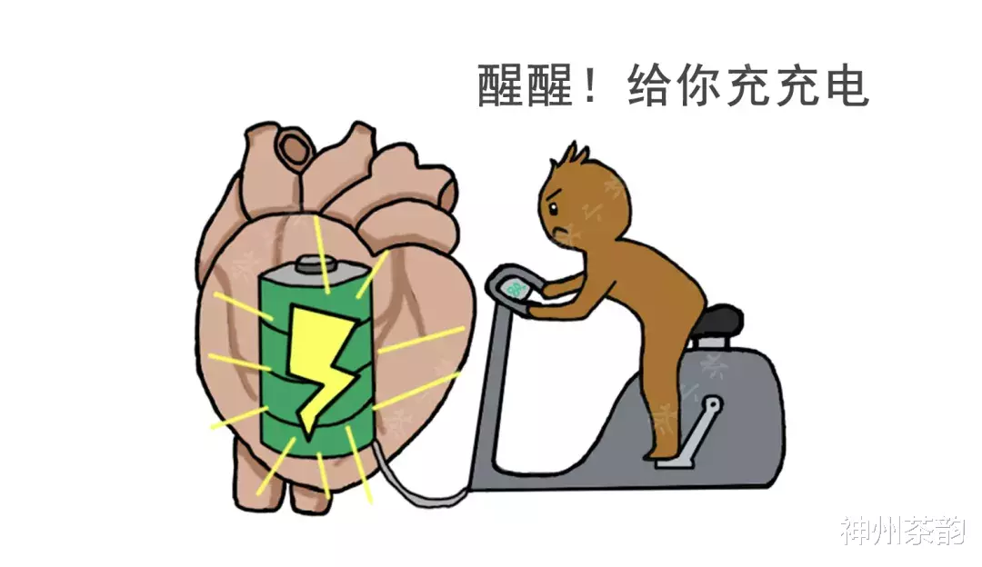 「茶多酚」茶叶在人体里到底在干嘛，有人给你画出来了