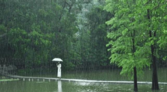 科学家|为什么人在下雨天睡得很香？科学家说出答案，网友：大自然真奇妙