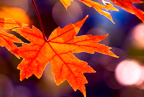 运势▲7月份，不遇难事，只遇贵人的三个星座