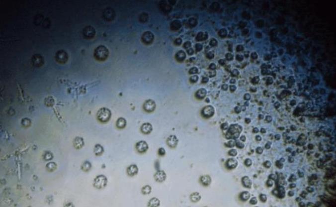 外星人▲氧气到底来源于哪里？如今谜底被揭开！